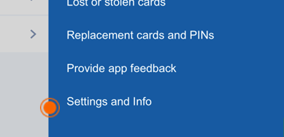 image of ‘Settings and Info’ option
