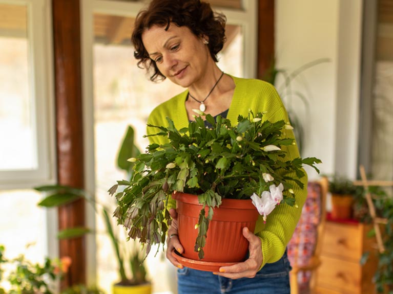 Woman carrying flower pot.