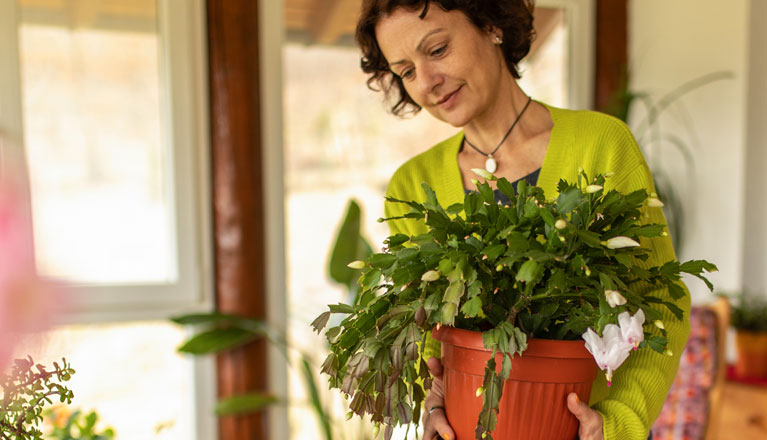 Woman holding pot plant.