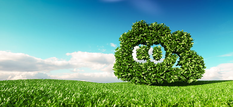 Tree shaped into the word CO2