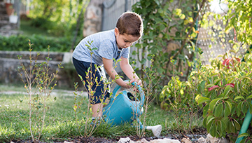 boy watering plants