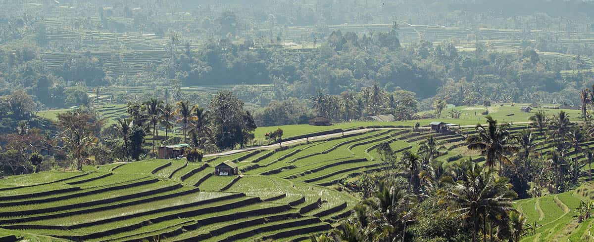 Go Local Guide Bali Denpasar