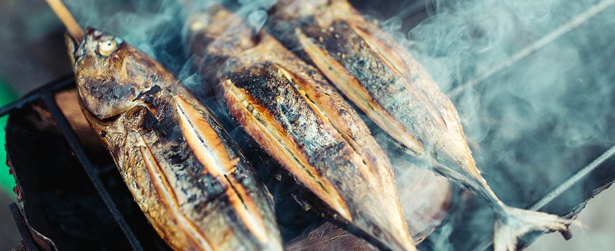 Bali Fish