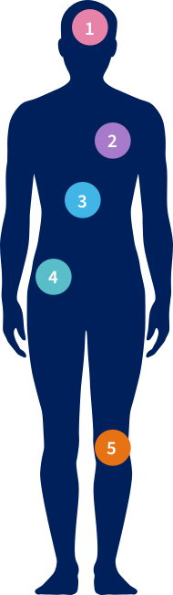 Body image with circles numbered one to five.
