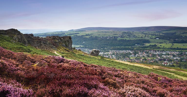 Best Places to Live